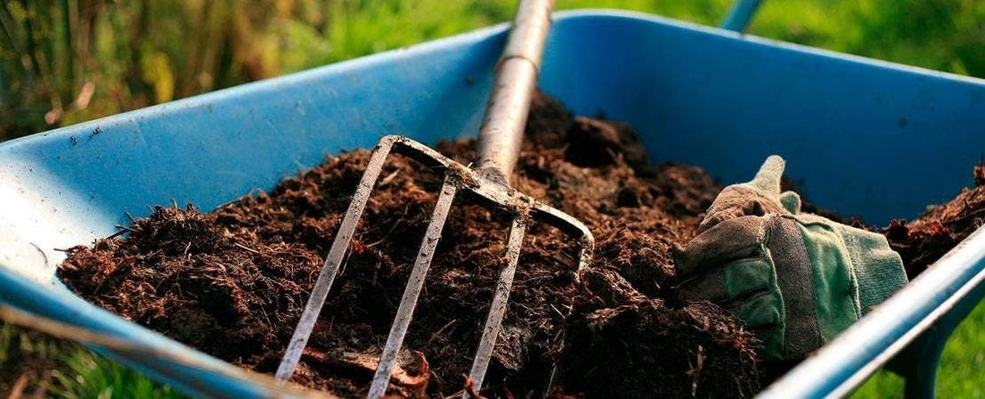 10 Essential Spring Gardening Tips