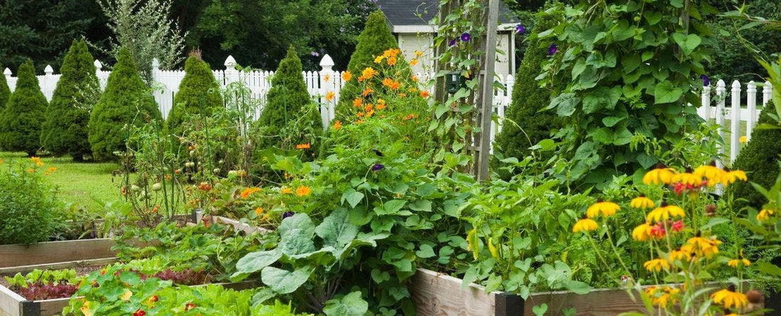Top 12 Gardening Trends for 2025
