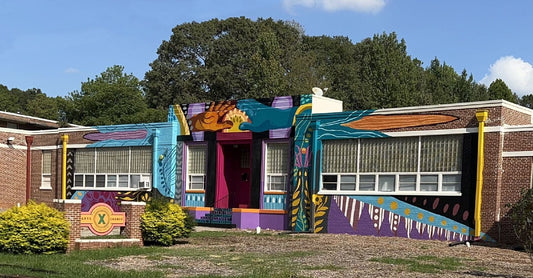 Community Gardens: Where Creativity Takes Root