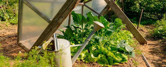 What to Do in the Garden In April