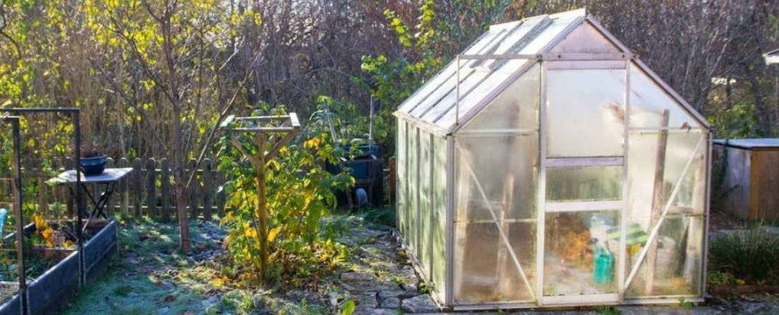 How to Build a Greenhouse