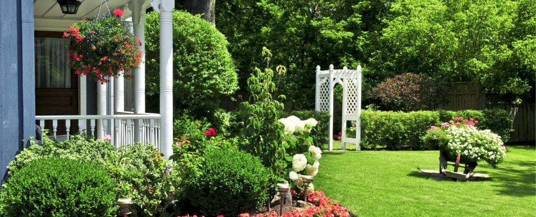8 Benefits of Gardening