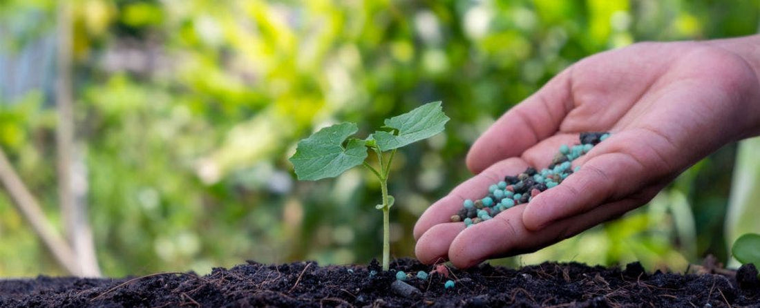 Choosing the Right Garden Fertilizer