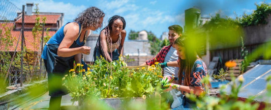 How to Start a Community Garden!