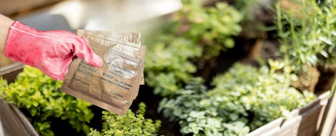 Do Seeds Expire? A Guide to Seed Longevity and Proper Storage