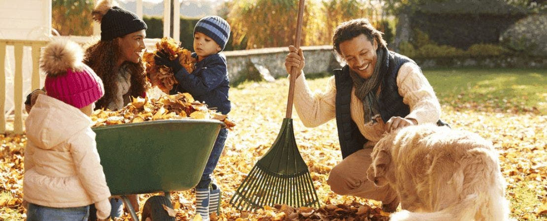 Benefits of Planting in Fall