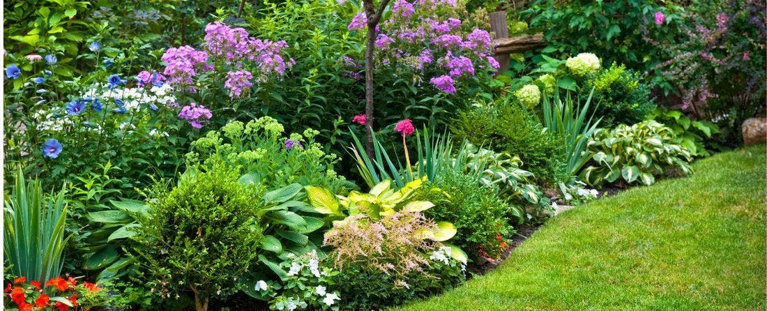 10 Beautiful Flower Bed Ideas