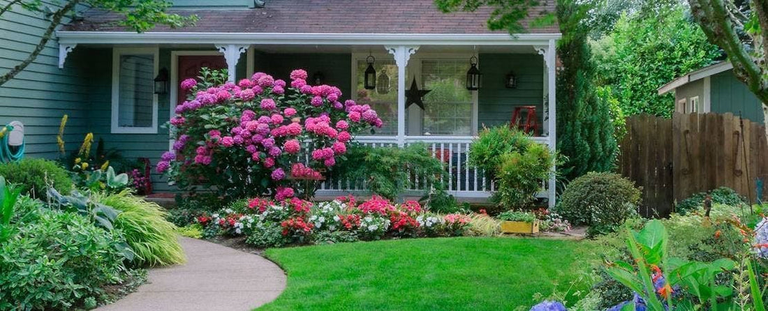 Foundation Planting Ideas