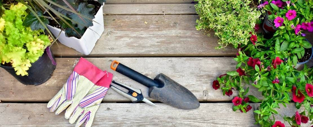 Planting Annuals