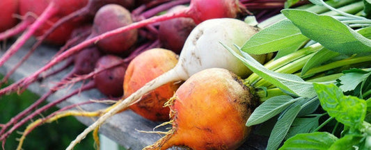 What to Do in the Garden in October