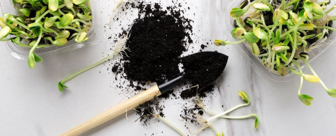 12 Unique Christmas Gifts for Gardeners