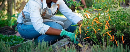 Gardening for Your Health