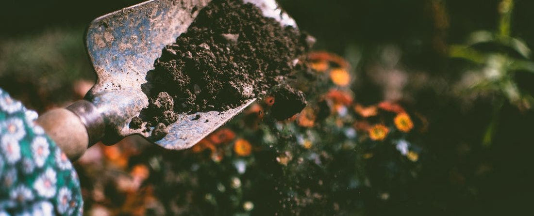 Is Your Soil Ready for a New Garden?