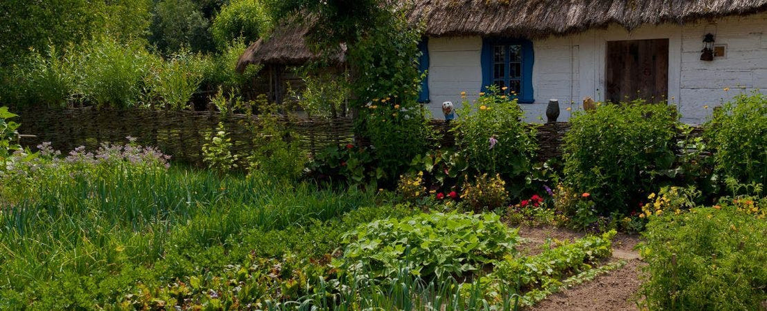 The Story of Gardening: How Gardening Changed the World