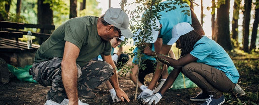How to Plant a Tree