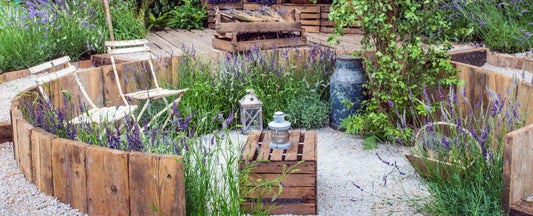 How to Grow a Mini Meadow Garden