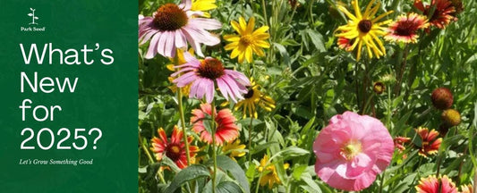 Discover What’s New for the 2025 Spring Gardening Season