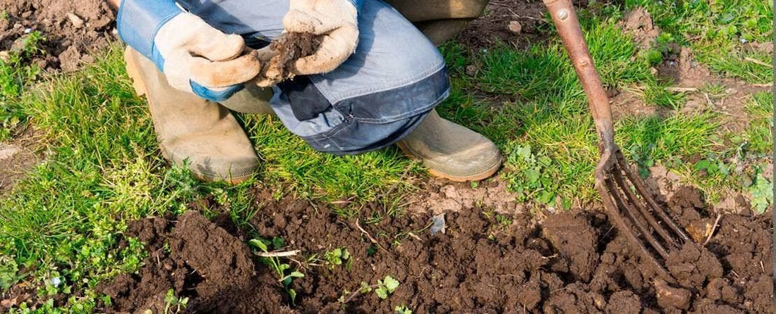 Organic Gardening Tips