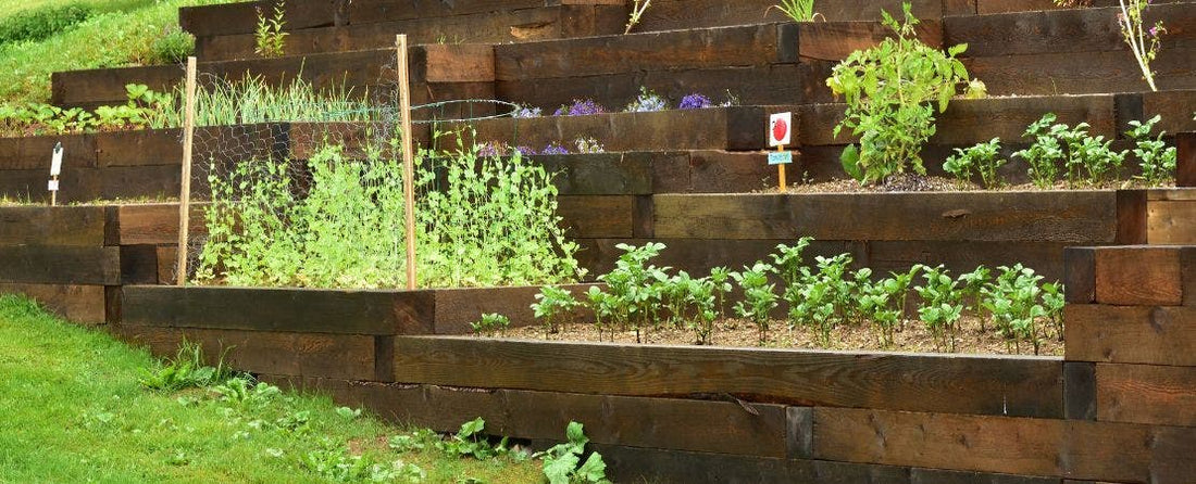 15 Best Vegetables to Plant in Spring