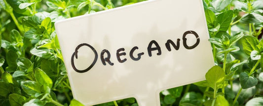 Labeling Your Plants