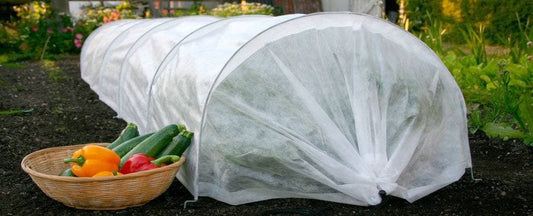 Protect Your Garden from Frost