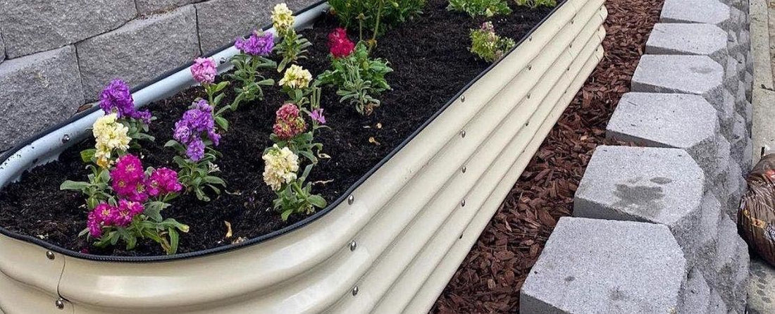 Raised Bed Garden Materials to Consider for Your Garden