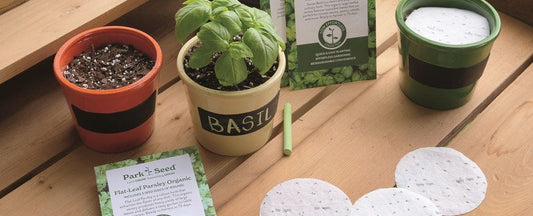 The Easiest Way to Sow Seeds Is with Seed Tapes, Discs, and Mats
