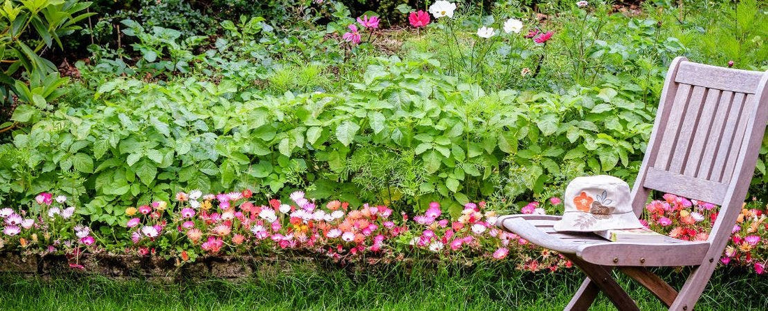 Midsummer Magic for Your Garden