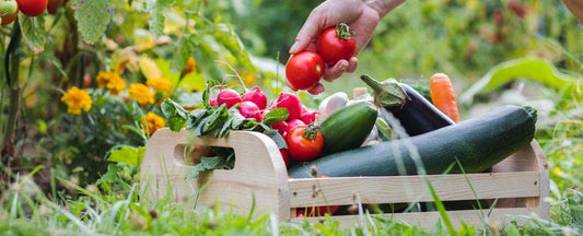 Summer Sides from the Garden: What to Grow Now