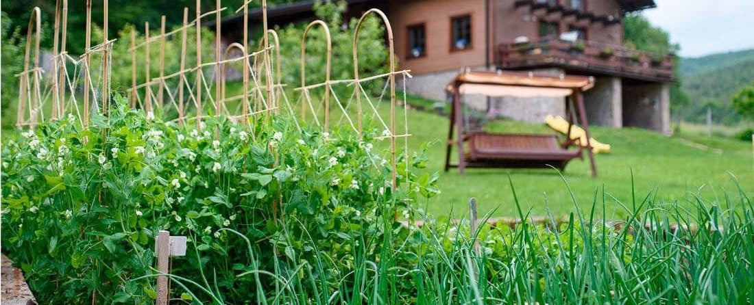 Sustainable Gardening
