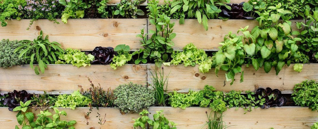 12 Innovative Vertical Gardening Ideas for Maximizing Small Spaces