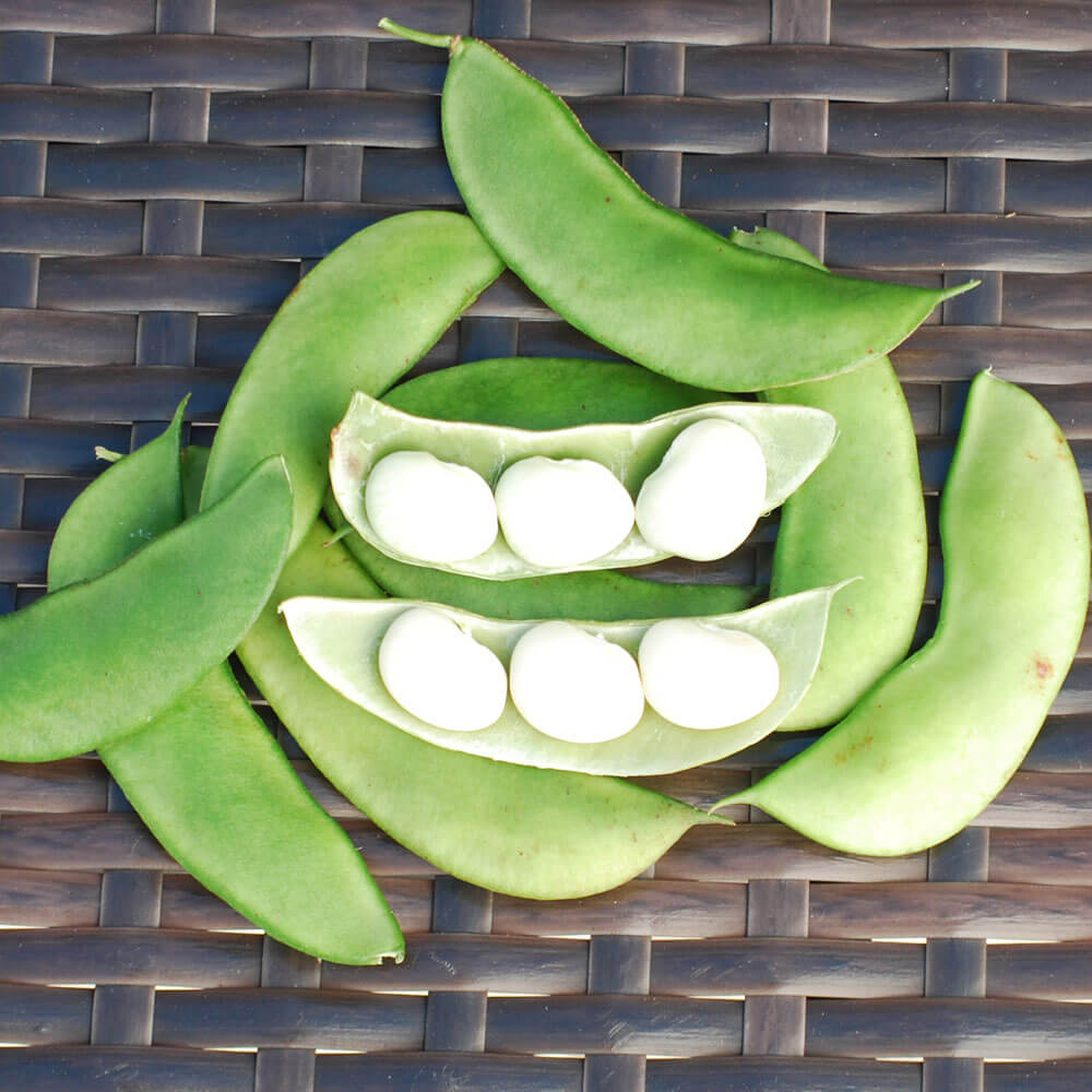 Henderson's Lima Bean Seeds