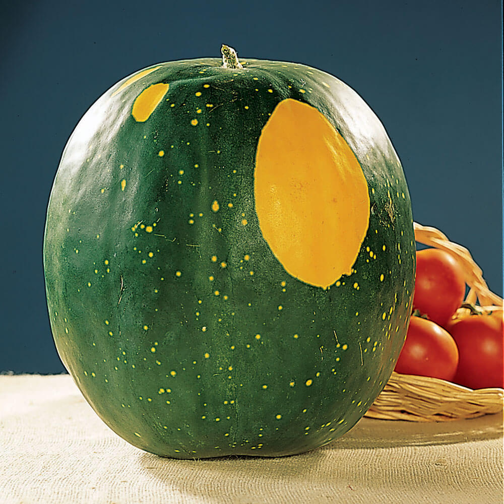 Moon and Stars Watermelon Seeds