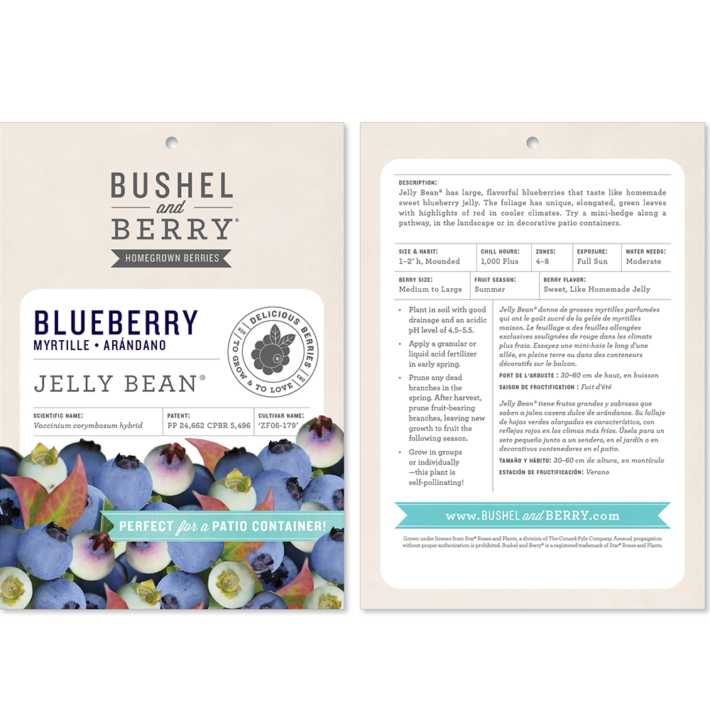 Vaccinium Bushel and Berry® Jelly Bean® Self-Pollinating Blueberry