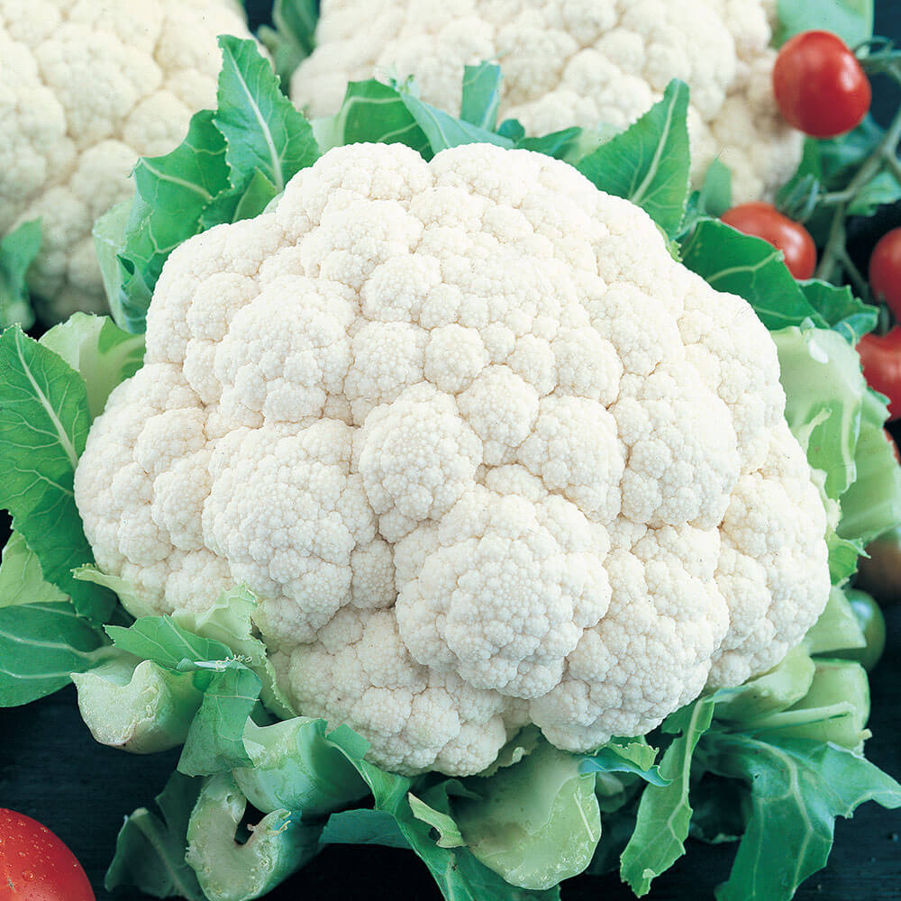 Organic Snowball Y Cauliflower Seeds