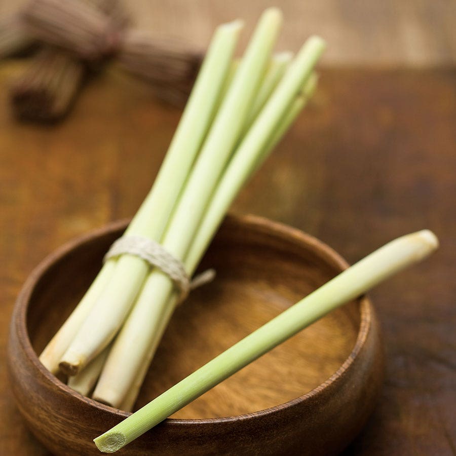 lemon grass plant seeds Lemongrass Seeds – Park Seed
