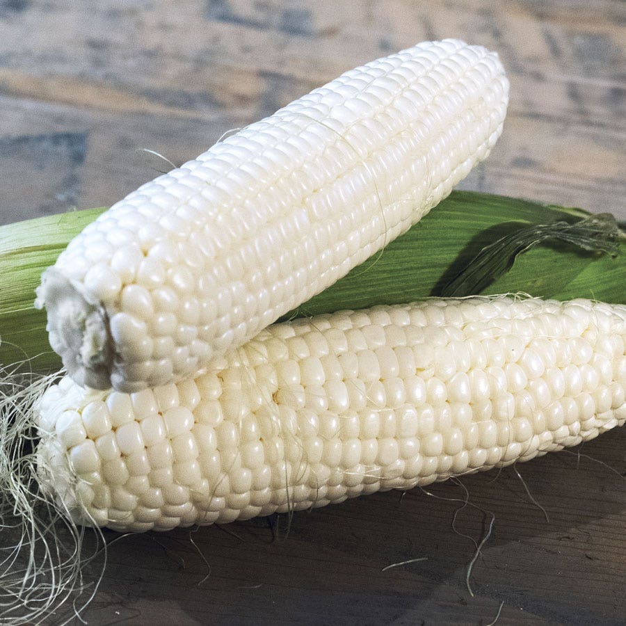 Silver Queen Hybrid Sweet Corn Seeds