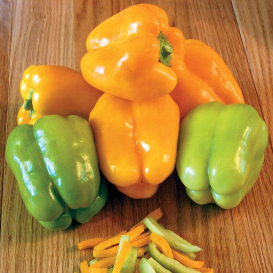 Flavorburst Hybrid Pepper Seeds