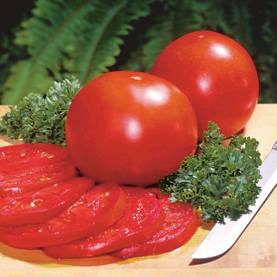 Better Bush Hybrid Tomato Seeds