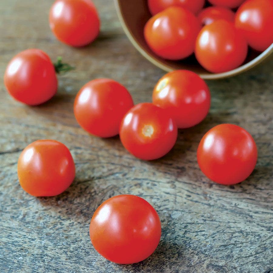 Supersweet 100 Hybrid Cherry Tomato Seeds