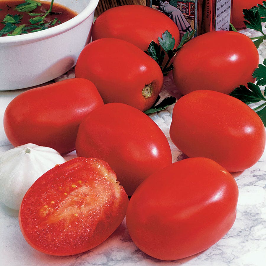 Roma VF Tomato Seeds