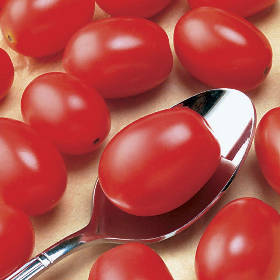Cupid Hybrid Grape Tomato Seeds