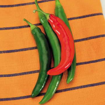 garden salsa seeds Garden Salsa Hybrid Pepper Seeds