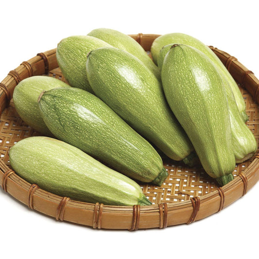 Magda Hybrid Squash Seeds