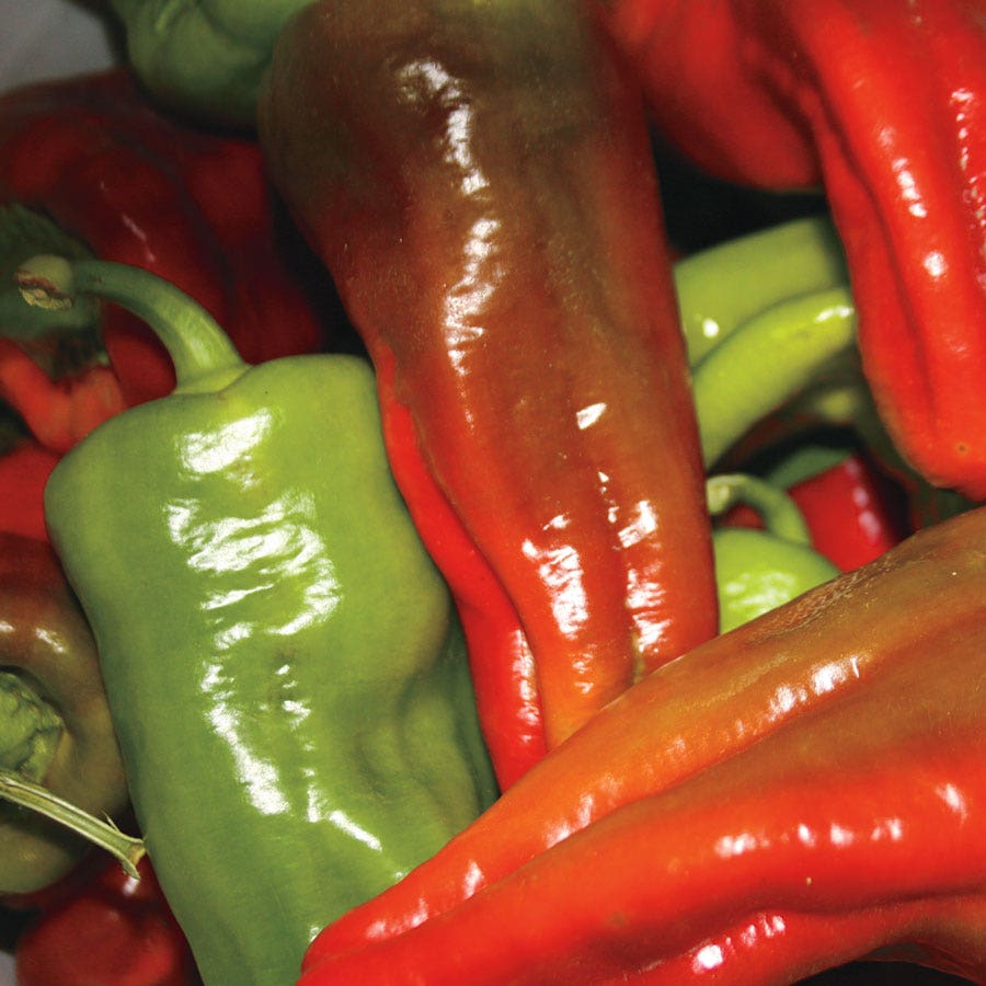 Hungarian Wax Organic Pepper Seeds