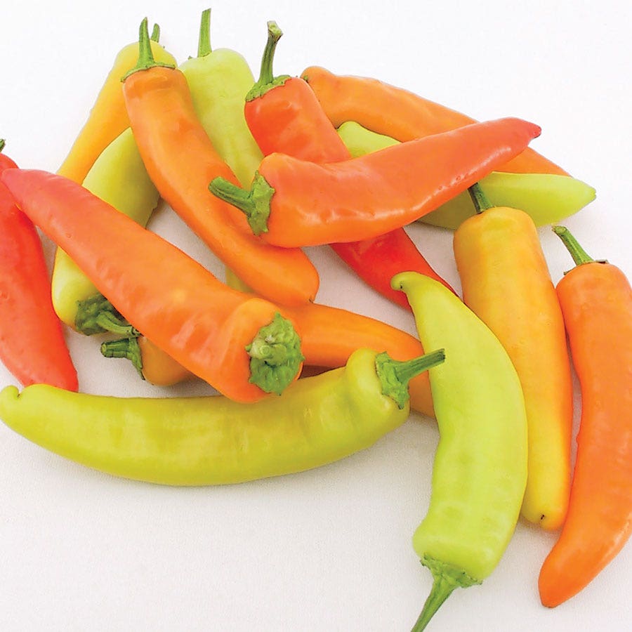 Hungarian Wax Organic Pepper Seeds