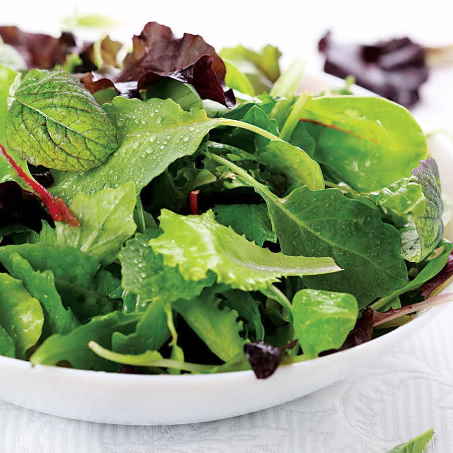 garden salad seeds Salad Bowl Mix Organic Greens Seeds – Park Seed