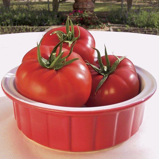 Mater Sandwich Hybrid Tomato Seeds