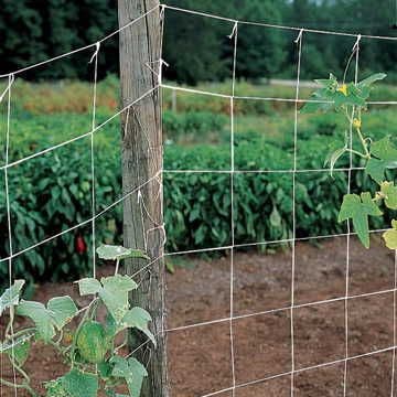 plant trellis net Park's Trellis Netting