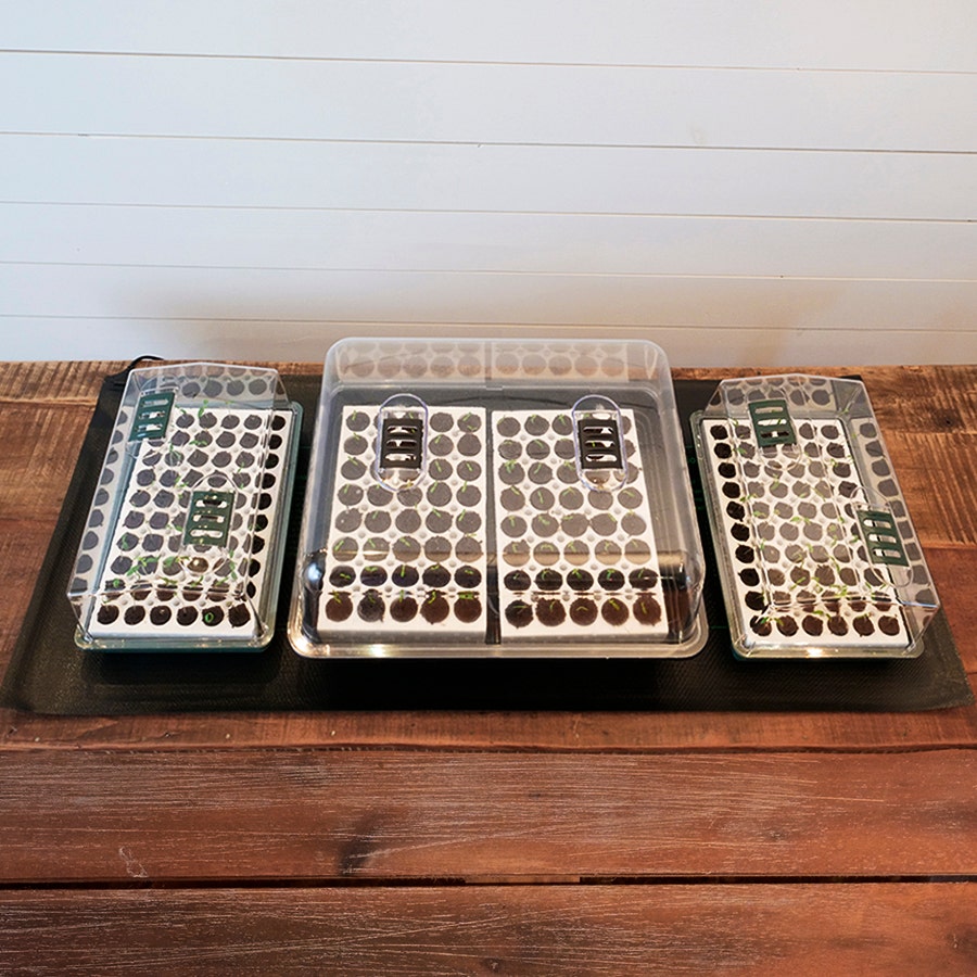 Hydrofarm Jump Start Waterproof Seedling Heat Mat - 20 inch x 48 inch
